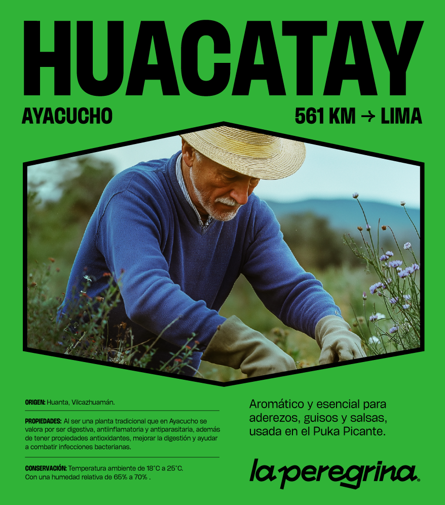 17_INF_LA-PEREGRINA_WEB